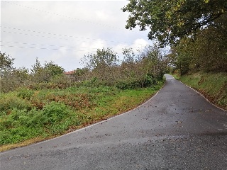 CAMPIÑA. Polígono 507 Parcela 8