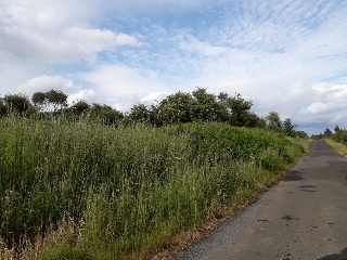 CAMPIÑA. Polígono 507 Parcela 10