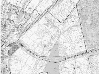 CAMPIÑA. Polígono 507 Parcela 15