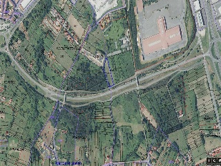 CAMPIÑA. Polígono 507 Parcela 16