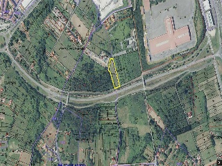 CAMPIÑA. Polígono 507 Parcela 17