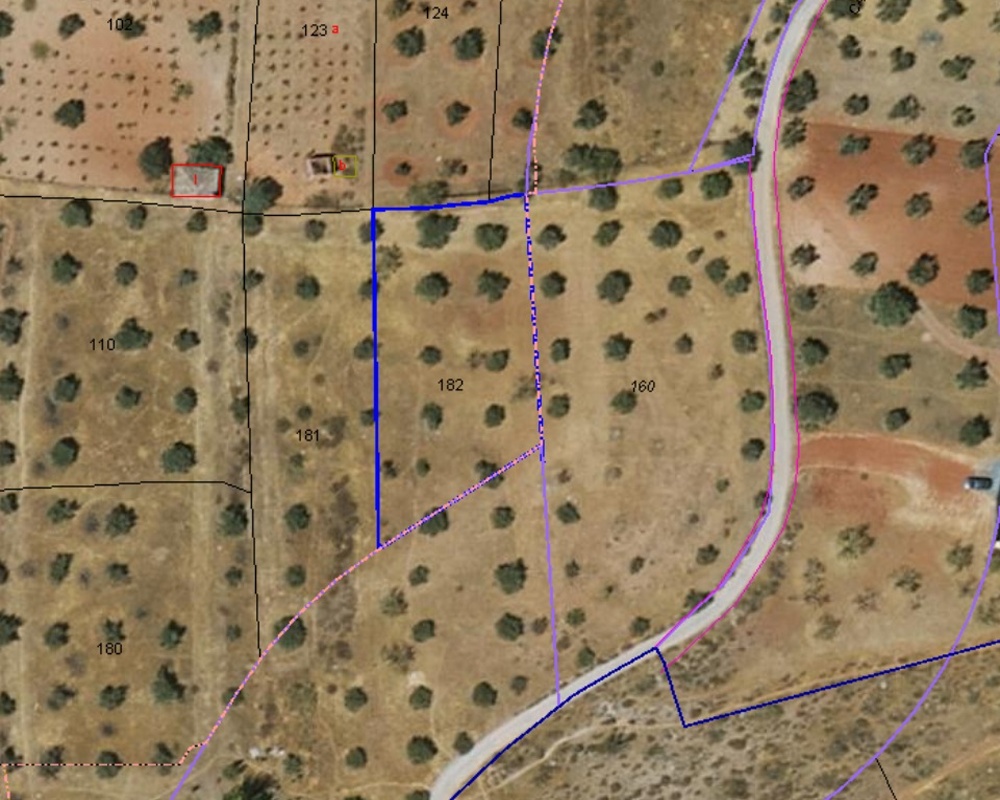 PAGO DE LA PIEDRA DE LOS CUARTILLOS