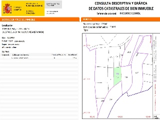 PAGO DE LA PIEDRA DE LOS CUARTILLOS 3