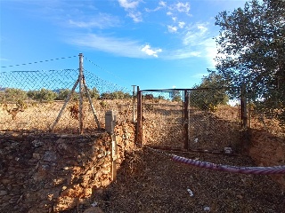 PAGO DE LA PIEDRA DE LOS CUARTILLOS 4
