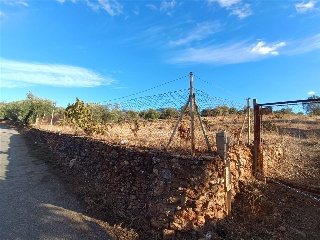 PAGO DE LA PIEDRA DE LOS CUARTILLOS 5