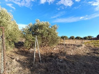 PAGO DE LA PIEDRA DE LOS CUARTILLOS 8
