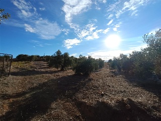 PAGO DE LA PIEDRA DE LOS CUARTILLOS 12