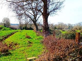 Pisos banco Villaquilambre