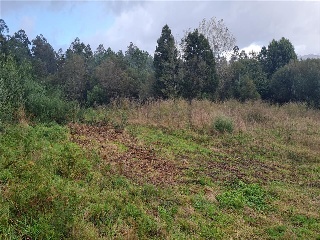 Otros en venta en Ames