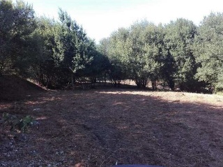 LOUREIROS, PARCELA 8