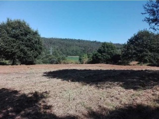 LOUREIROS, PARCELA 9