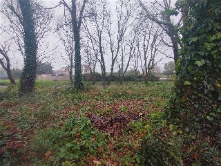 Otros en venta en Tomiño