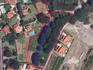CARREGAL DE ABAIXO - AMORIN. LOURAL. Polígono 88 Parcela 13