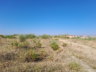 Pisos banco Torrejón de Velasco