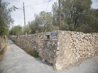 Camí del Llorito, 114- Polígono 5 2