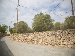 Camí del Llorito, 114- Polígono 5 3