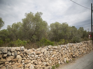 Camí del Llorito, 114- Polígono 5 6