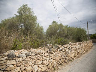 Camí del Llorito, 114- Polígono 5 7