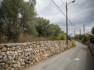 Camí del Llorito, 114- Polígono 5 8