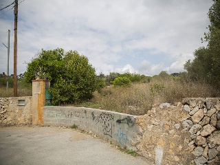 Camí del Llorito, 114- Polígono 5 11