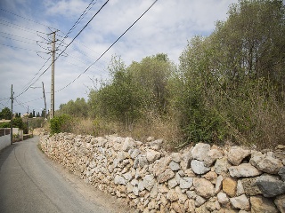 Camí del Llorito, 114- Polígono 5 12