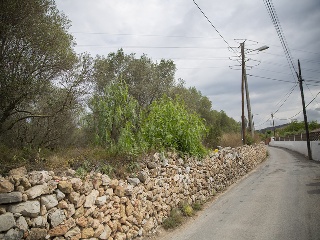 Camí del Llorito, 114- Polígono 5 13