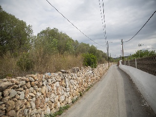 Camí del Llorito, 114- Polígono 5 14