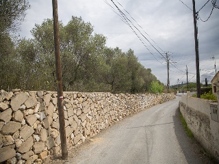 Camí del Llorito, 114- Polígono 5 15
