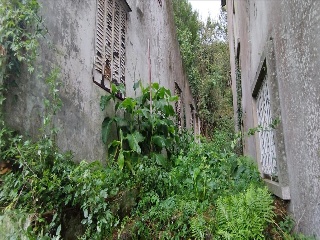 ANTELO MARIÑO - SALVADOR 3