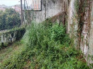 ANTELO MARIÑO - SALVADOR 5