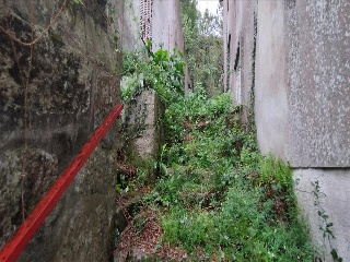 ANTELO MARIÑO - SALVADOR 7