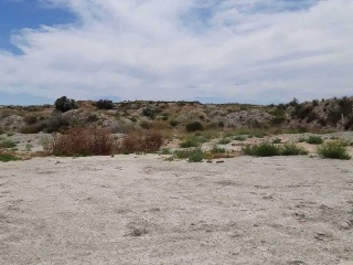 Pisos banco Molina de Segura