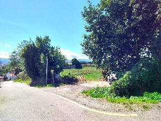 VIA 2