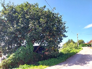 VIA 3