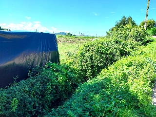 VIA 4
