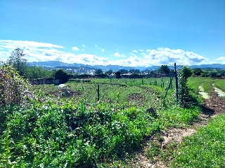 VIA 5