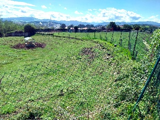 VIA 6