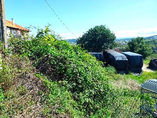 VIA 8