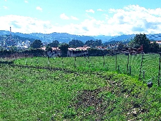 VIA 10