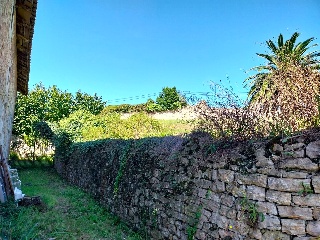 VIA 13