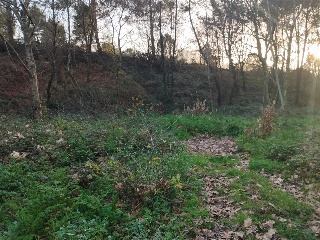 Pisos banco Porriño (O)