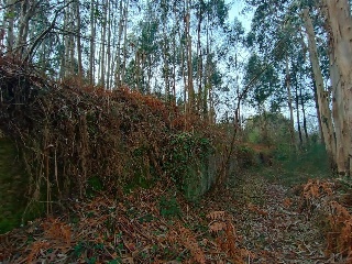 CONS-MOURENTE Polígono 166 Parcela 3