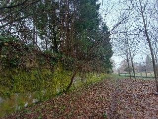 CONS-MOURENTE Polígono 166 Parcela 4