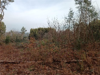 CONS-MOURENTE Polígono 166 Parcela 5