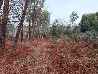 CONS-MOURENTE Polígono 166 Parcela 7