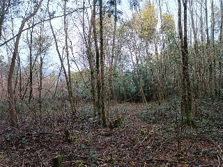 CONS-MOURENTE Polígono 166 Parcela 8