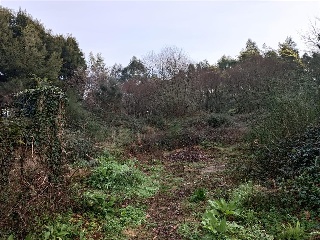 CONS-MOURENTE Polígono 166 Parcela 9