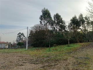 CONS-MOURENTE Polígono 166 Parcela 10