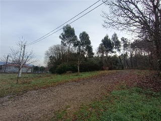 CONS-MOURENTE Polígono 166 Parcela 11