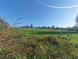 RAYO Polígono 25. Parcela 2